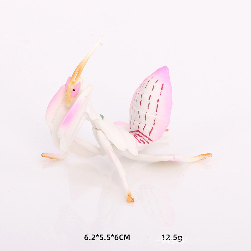 현실적인 동물 장난감 모델 핑크 난초 사마귀 수지 그림 - Orchid Kids Education 리뷰 및 가격