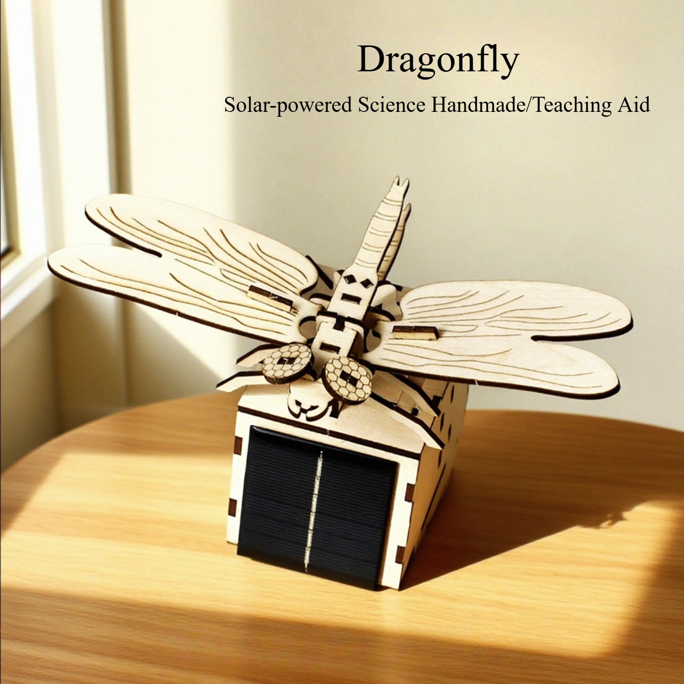 나무로 만든 어린이 교육용 장난감 DIY 물리 과학 모 - Kids Education Allowance 리뷰 및 가격